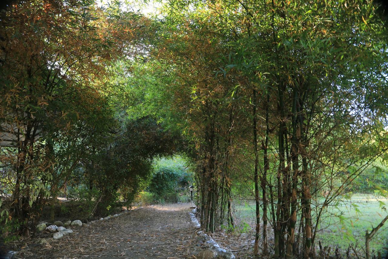 Parwati Wild Abode Corbett Resort Dhela Dış mekan fotoğraf
